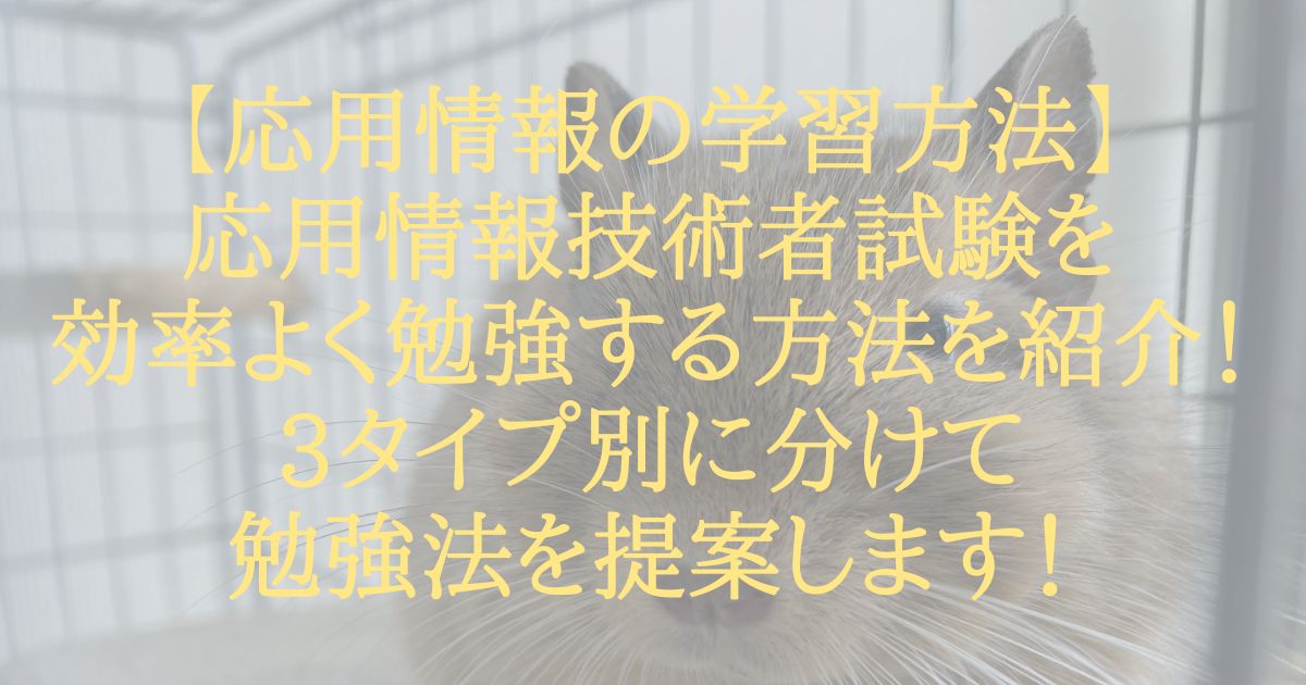 【応用情報の学習方法】応用情報技術者試験を効率よく勉強する方法を紹介！3タイプ別に分けて勉強法を提案します！
