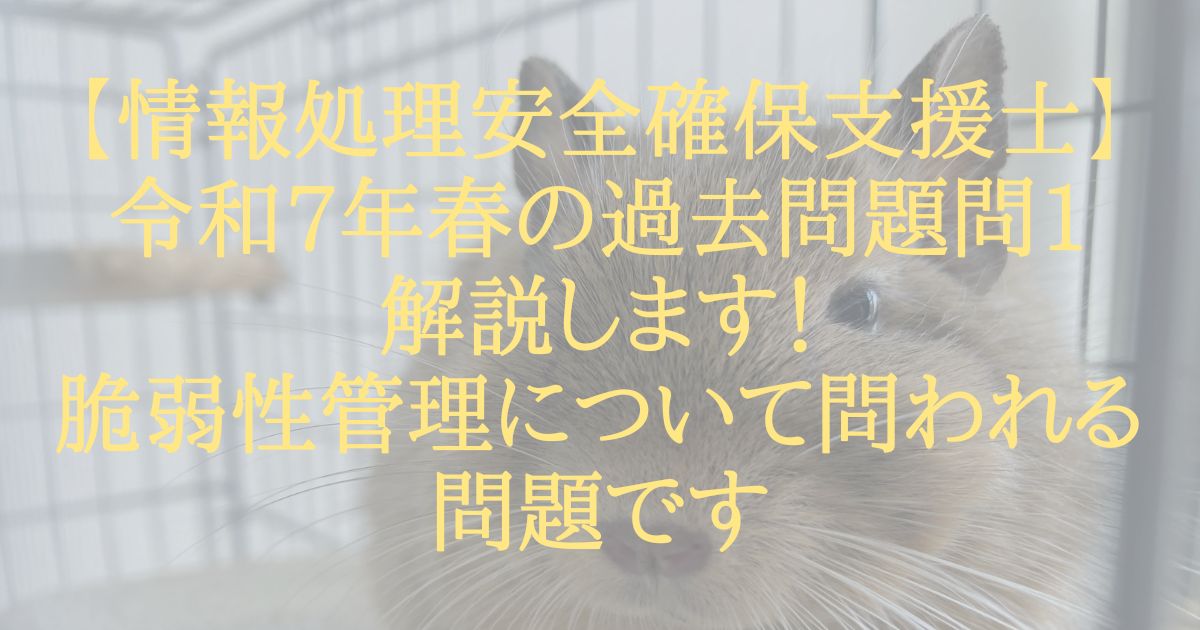 【情報処理安全確保支援士】令和7年春の過去問題問1解説します！脆弱性管理について問われる問題です