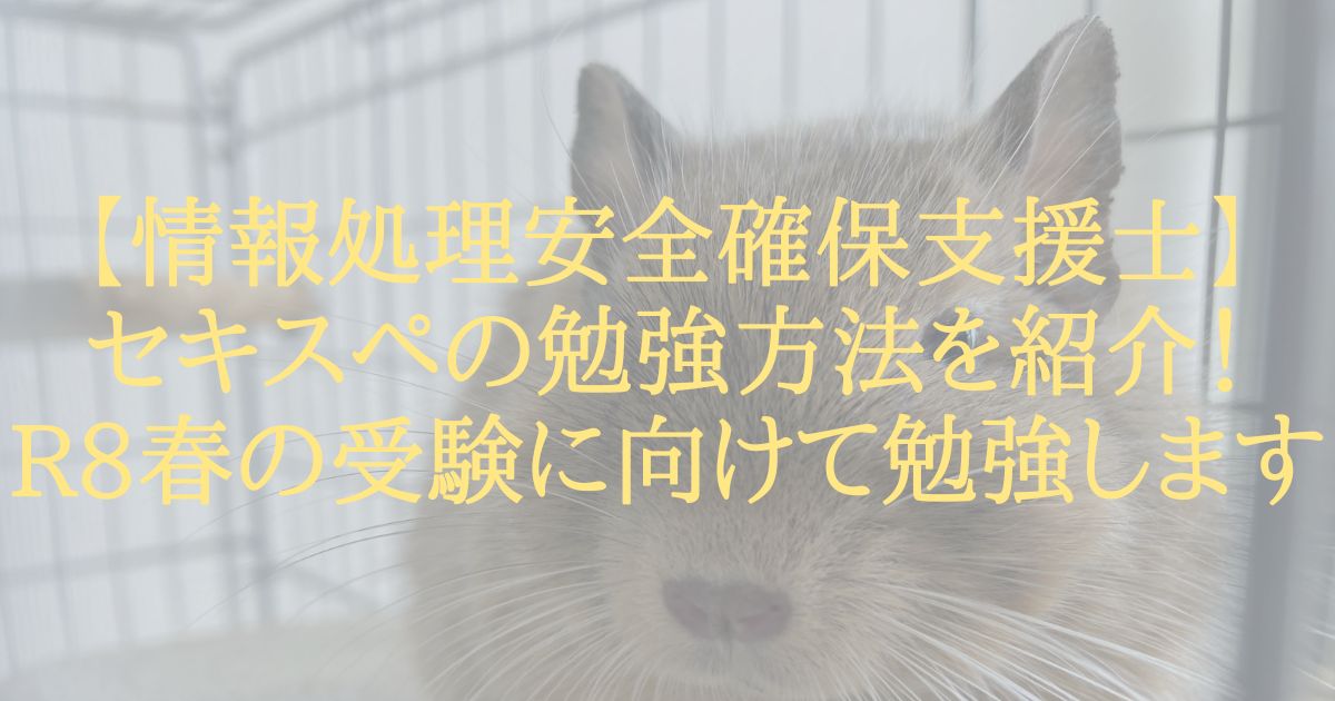 【情報処理安全確保支援士】セキスペの勉強方法を紹介！R8春の受験に向けて勉強します