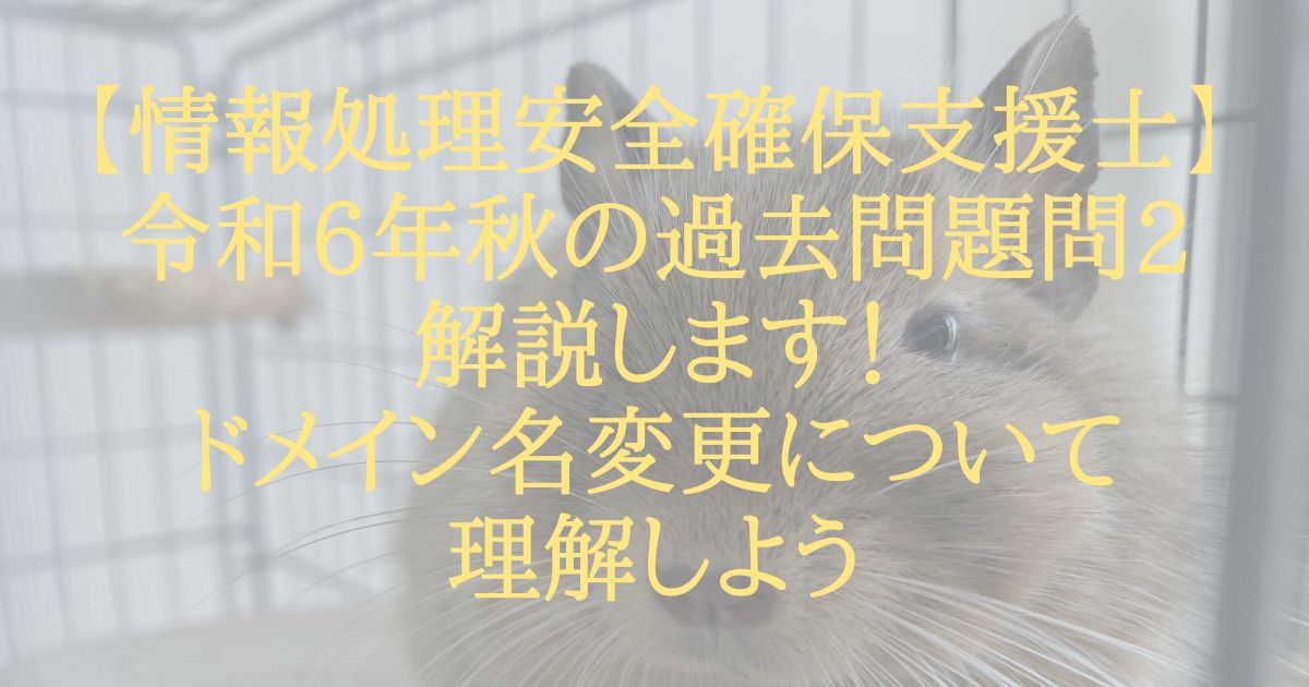 【情報処理安全確保支援士】令和6年秋の過去問題問2解説します！ドメイン名変更について理解しよう