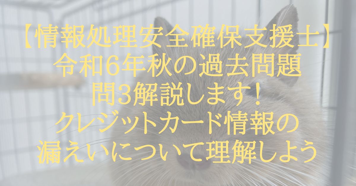 【情報処理安全確保支援士】令和6年秋の過去問題問3解説します!クレジットカード情報の漏えいについて理解しよう