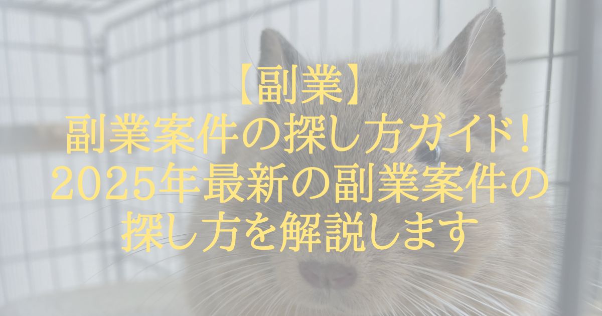 【副業】副業案件の探し方ガイド！2025年最新の副業案件の探し方を解説します