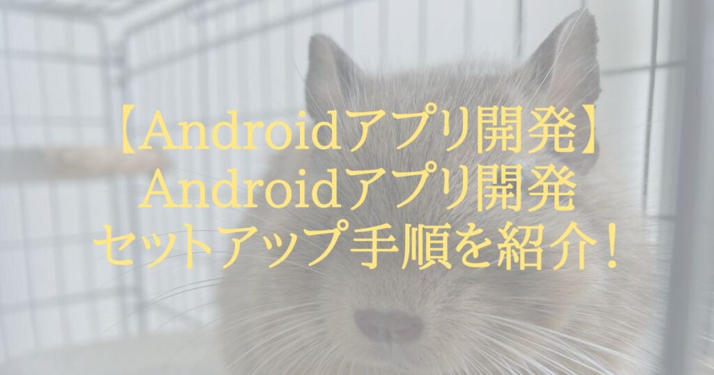 【Androidアプリ開発】Androidアプリ開発セットアップ手順を紹介！