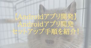 【Androidアプリ開発】Androidアプリ開発セットアップ手順を紹介！