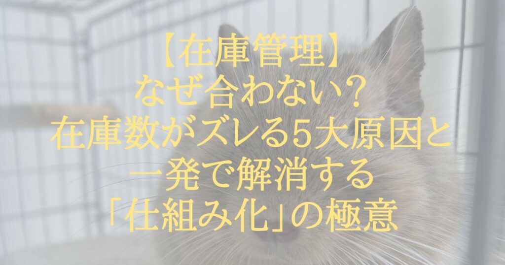 【在庫管理】なぜ合わない？在庫数がズレる5大原因と一発で解消する「仕組み化」の極意
