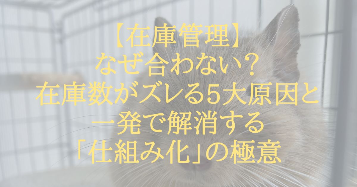 【在庫管理】なぜ合わない？在庫数がズレる5大原因と一発で解消する「仕組み化」の極意