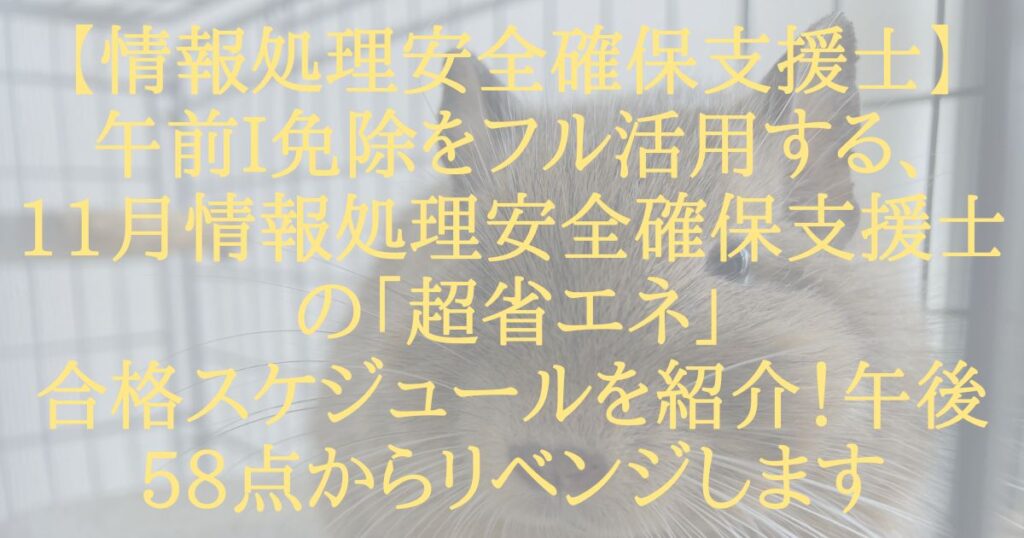 【情報処理安全確保支援士】午前I免除をフル活用する、11月情報処理安全確保支援士の「超省エネ」合格スケジュールを紹介！午後58点からリベンジします