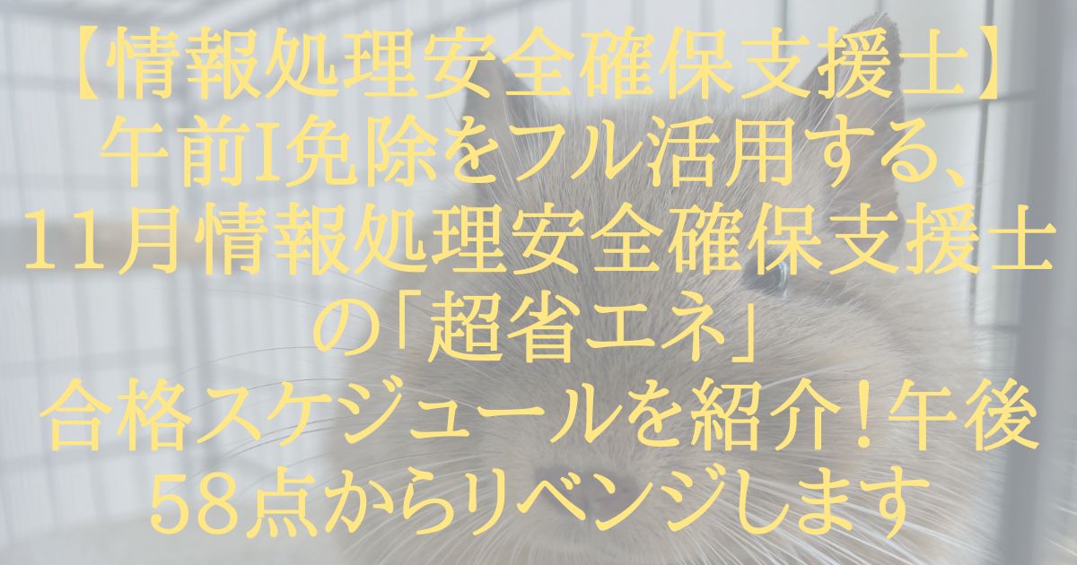 【情報処理安全確保支援士】午前I免除をフル活用する、11月情報処理安全確保支援士の「超省エネ」合格スケジュールを紹介！午後58点からリベンジします